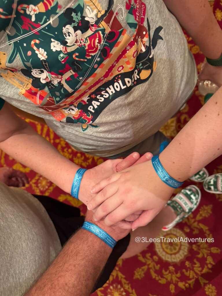 3 Lee's Travel Adventures had the pleasure of attending 2 Mickey's Very Merry Christmas Parties in 2024. Blue was the color of the Wristbands on the night of our November 27th party.