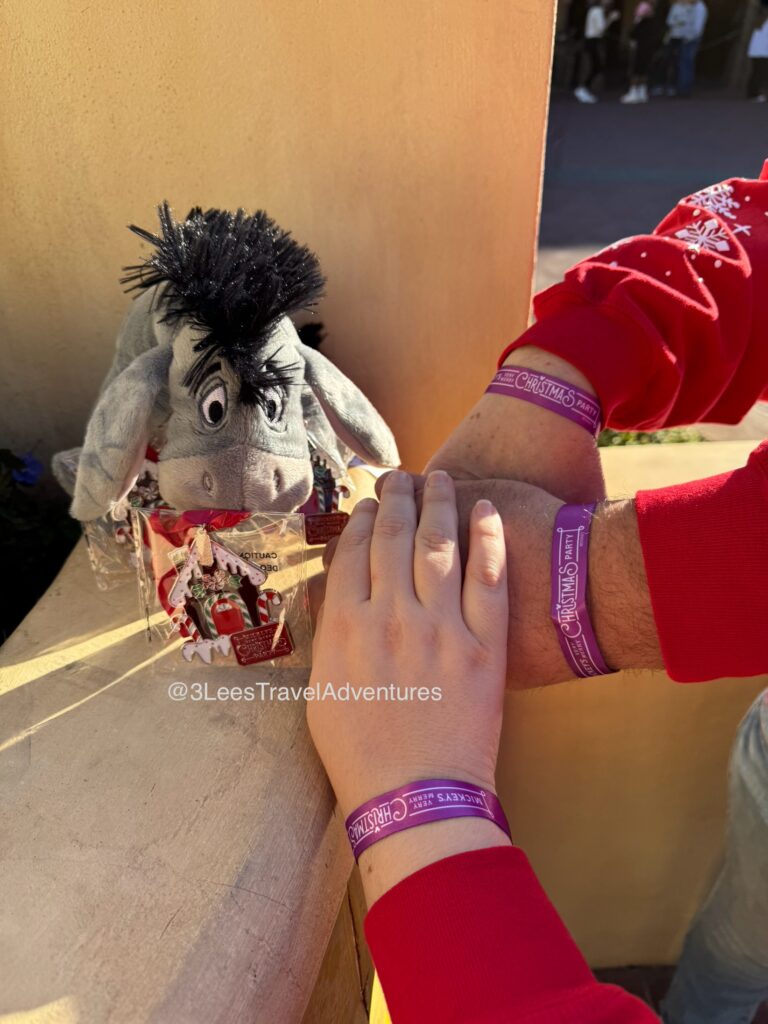 3 Lee's Travel Adventures loved collecting the Keepsake Wristbands and Ornaments from Mickey's Very Merry Christmas Parties in 2024. Purple was the color of the Wristbands on the night of our December 20th party.