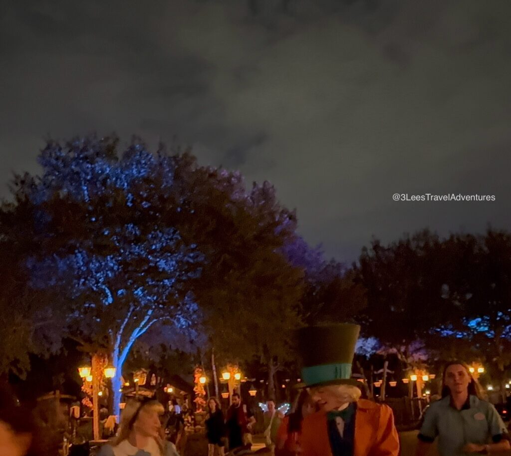We, 3 Lee's Travel Adventures, saw Alice in Wonderland and the Mad Hatter strolling past The Many Adventures of Winnie the Pooh during Mickey's Not-So-Scary Halloween Party on August 24, 2025.