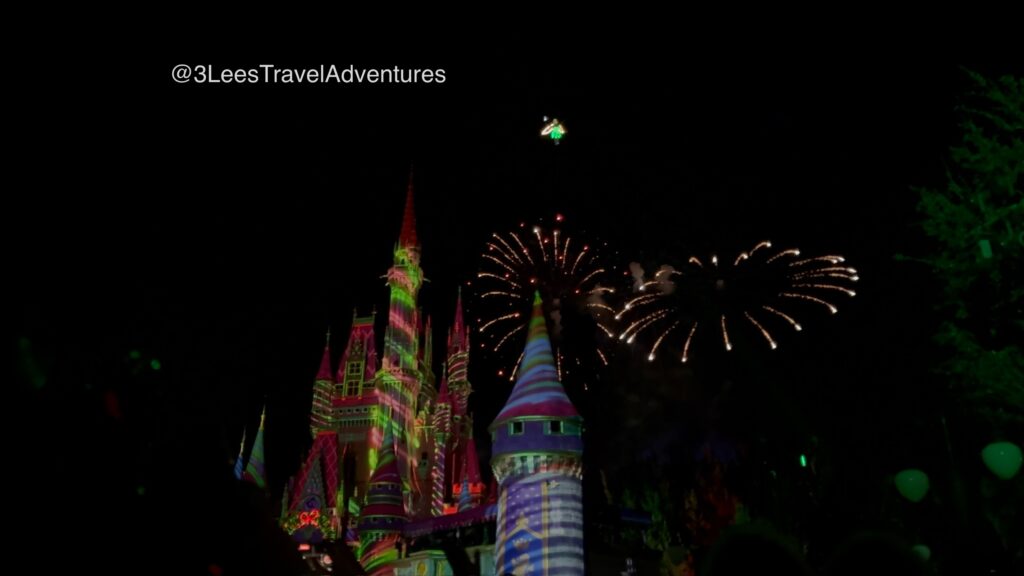 Look to the Skies during the Minnie's Wonderful Christmastime Fireworks Show. With Faith, Trust, and a little Pixie Dust, you might not only see Fireworks.