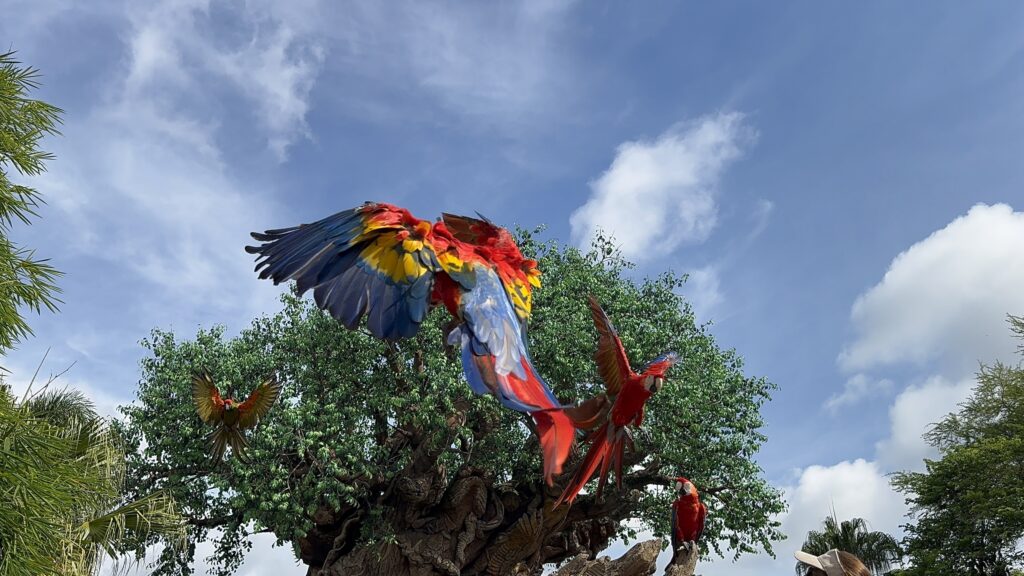 Majestic Macaws in Flight
