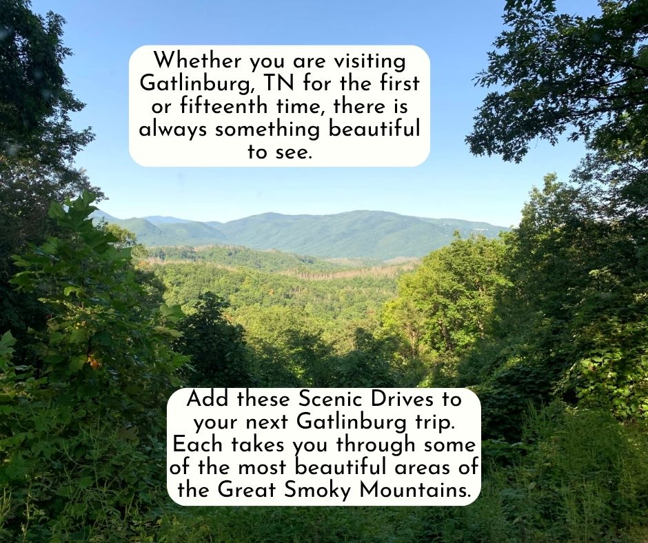 There is always something beautiful to see in the Great Smoky Mountains near Gatlinburg, TN.