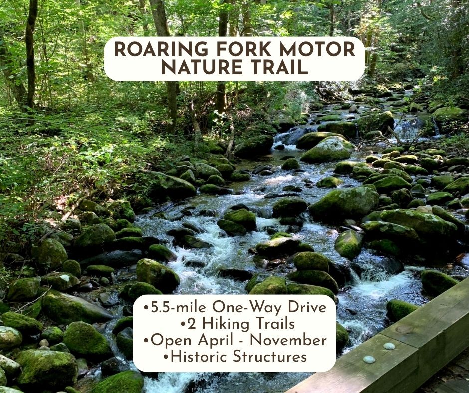 Scenic Drive near Gatlinburg, TN Roaring Fork Motor Nature Trail •5.5 mile one-way drive •2 hiking trails •Open April - November •Historic Structures