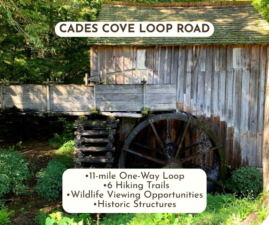 Scenic Drive near Gatlinburg, TN Cades Cove Loop Road •11-mile one-way loop •6 hiking trails •Wildlife Viewing Options •Historic Structures