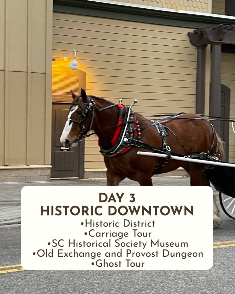 Day 3 in Charleston, SC Historic Downtown •Historic District •Carriage Tour •SC Historical Society Museum •Old Exchange and Provost Dungeon •Ghost Tour